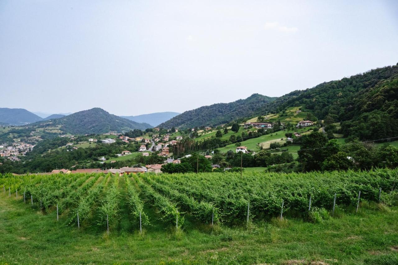 Отель Agriturismo Podere Cavaga Lago D'Iseo Agribio Winery Foresto Sparso Экстерьер фото